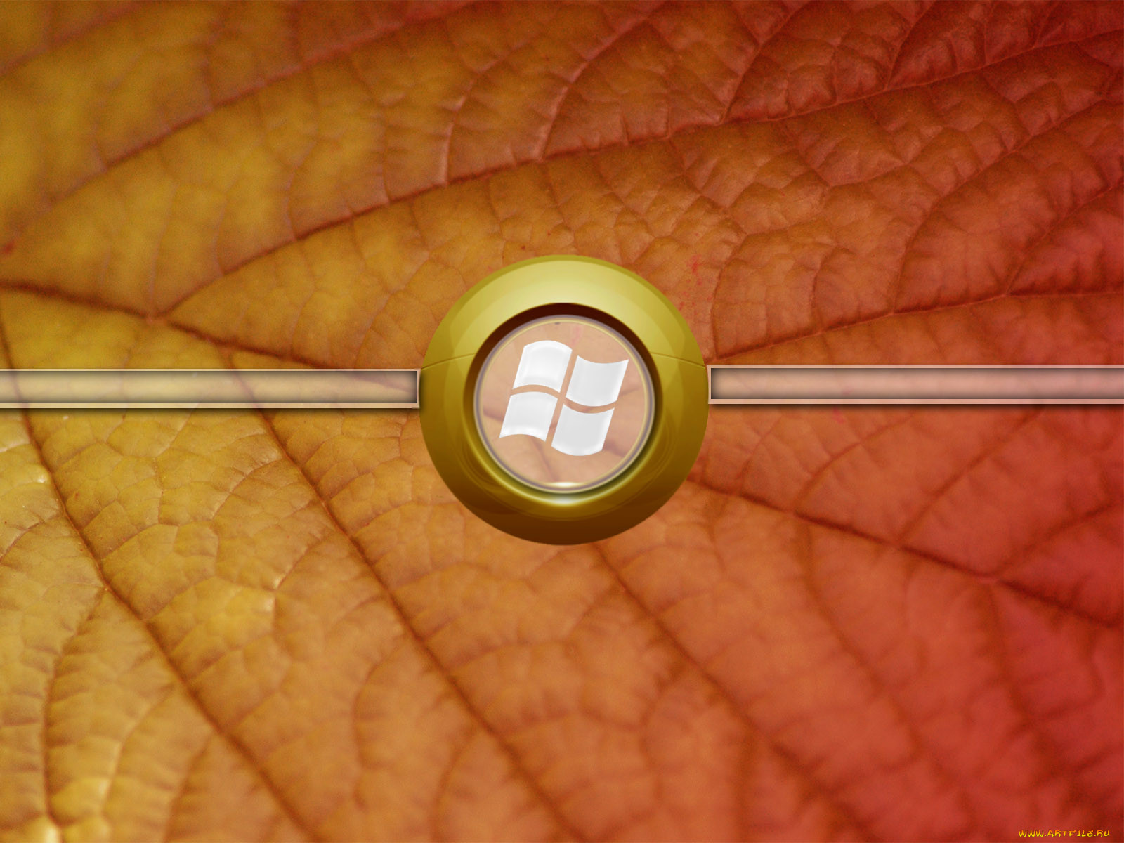, windows, vista, longhorn